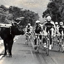 TourSC - Federação Catarinense de Ciclismo