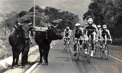 TourSC - Federação Catarinense de Ciclismo