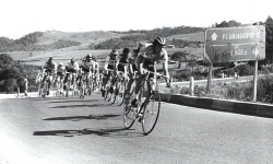 TourSC - Federação Catarinense de Ciclismo