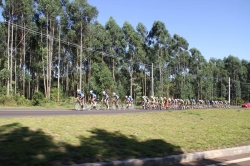 TourSC - Federação Catarinense de Ciclismo