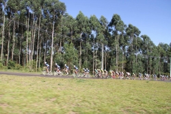 TourSC - Federação Catarinense de Ciclismo