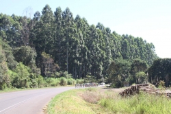 TourSC - Federação Catarinense de Ciclismo