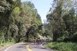 TourSC - Federação Catarinense de Ciclismo