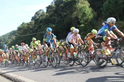 TourSC - Federação Catarinense de Ciclismo