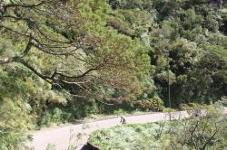 TourSC - Federação Catarinense de Ciclismo